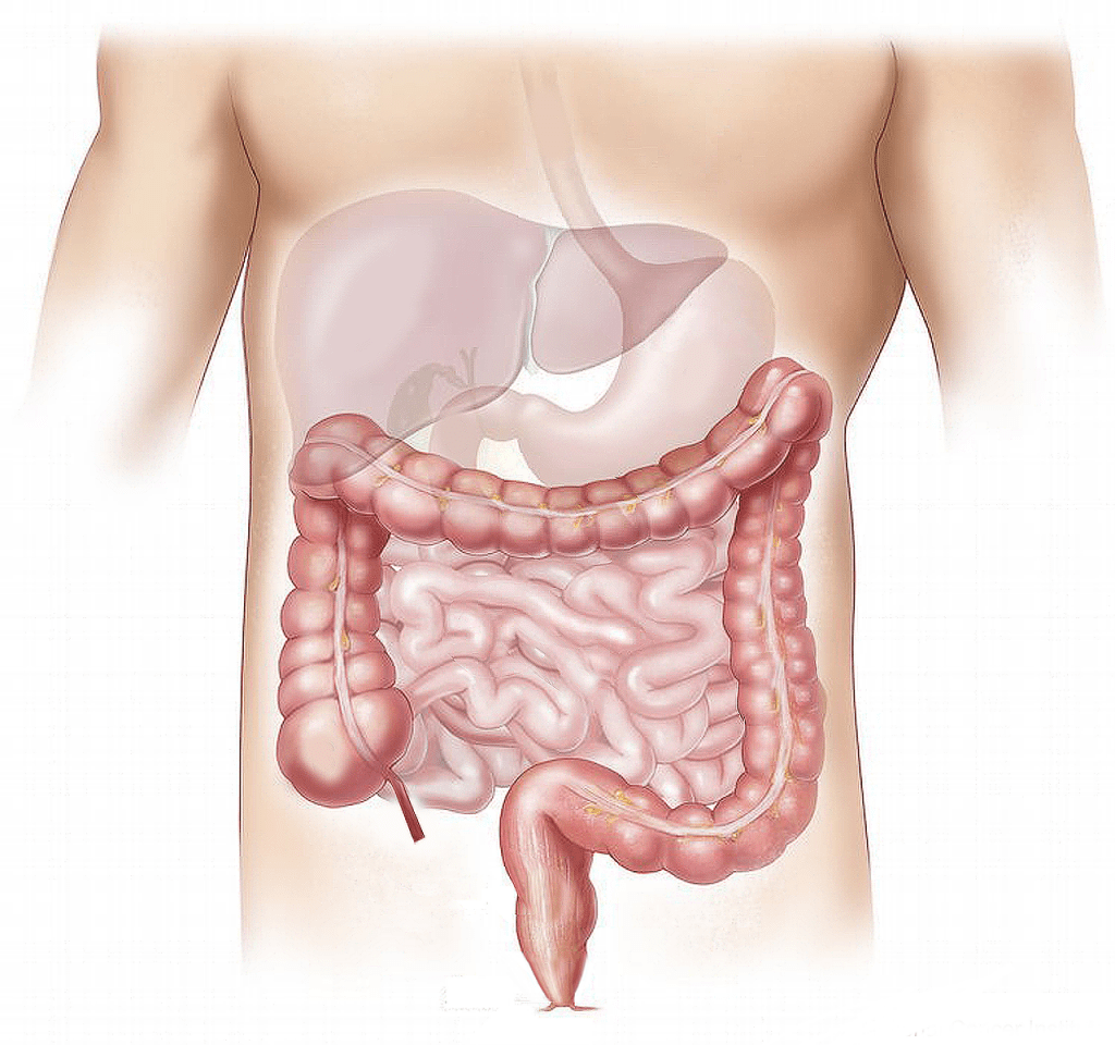Gastro-entérologie - Clinique Pasteur Dakar